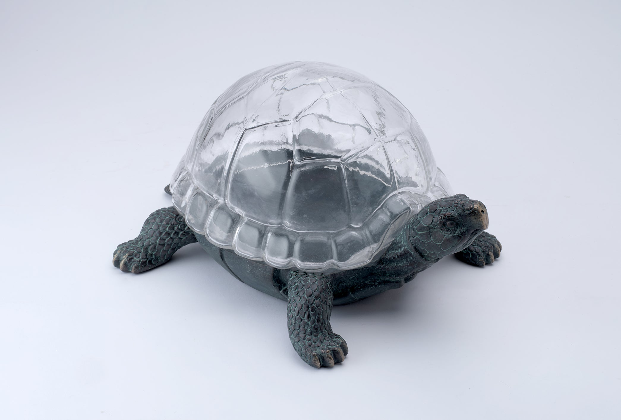 A tortoise-shaped table lamp with a textured dark gray base and a clear glass or acrylic shell on a light gray background.