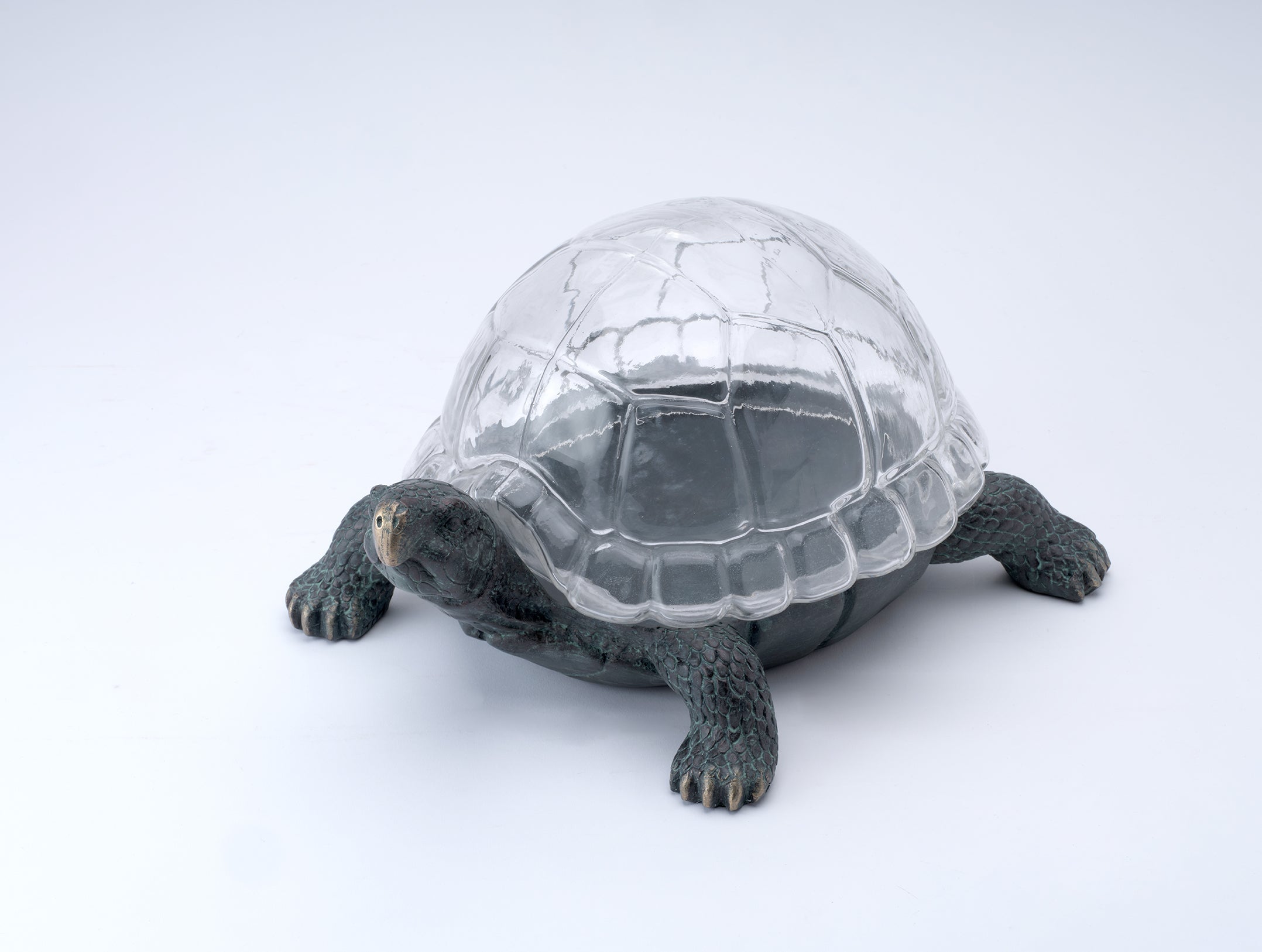 Tortoise terrarium with glass shell. Ornate turtle display case